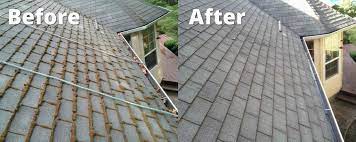 10 qualities to look for in a roof cleaning company