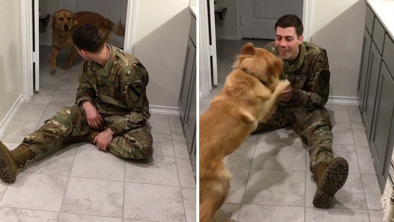 Army man finds Surprise DOG to his rescue 