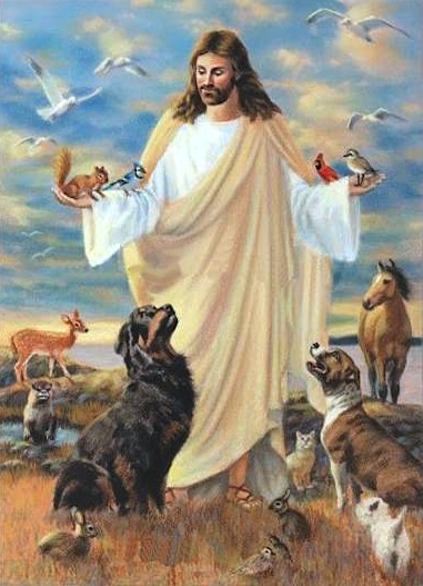 Jesus calms DOG & promises to unite his GOLDEN boy one day