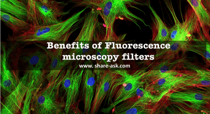 Benefits of Fluorescence microscopy filters