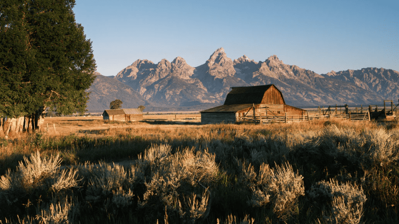 Land for Sale in Wyoming: A Definitive Guide 0 (0)