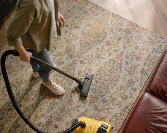 6 Reasons Why Vacuuming is Not a Replacement for Carpet Cleaning 5 (1)