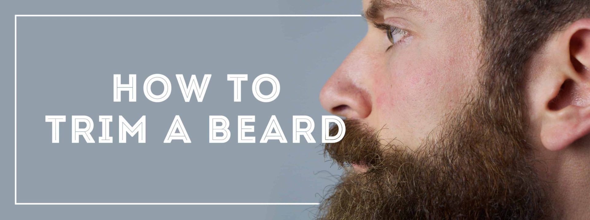 Top Tips to Have a Perfectly Groomed Beard!