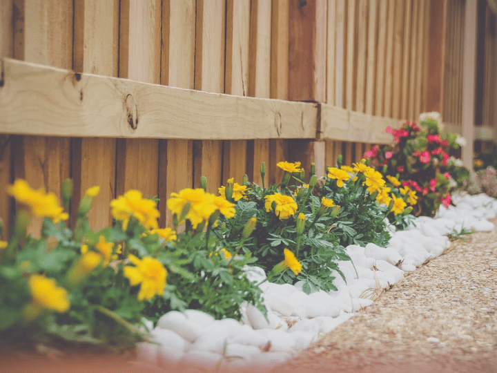 Why Hire a Landscape Contractor? A Complete Guide