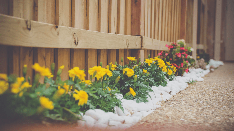 Why Hire a Landscape Contractor? A Complete Guide 0 (0)