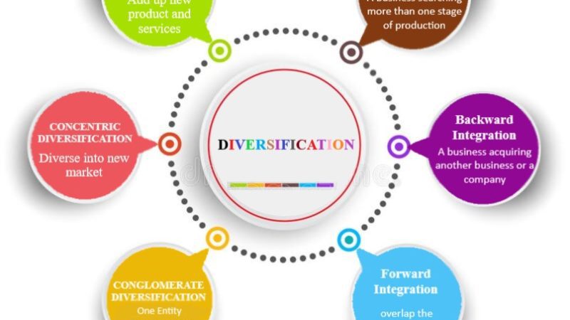 DIVERSIFICATION- Development Of Product And Markets 0 (0)