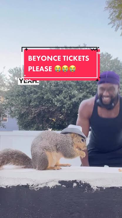 Derrick Downey Jr., and his little cutie squirrel, Richard, talking about Beyoncé's tour tickets. 