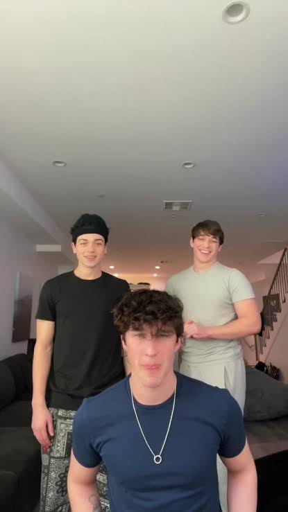 Ashton-Rowland-and-his-two-older-brothers-Hunter-Rowland-and-Brandon-Rowland-doing-a-TikTok-challenge.-