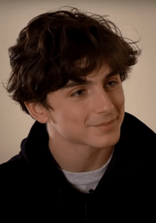 Untold Facts About Timothée Chalamet?