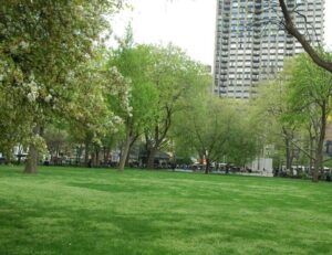 The Beauty Surrounding Madison Square Park