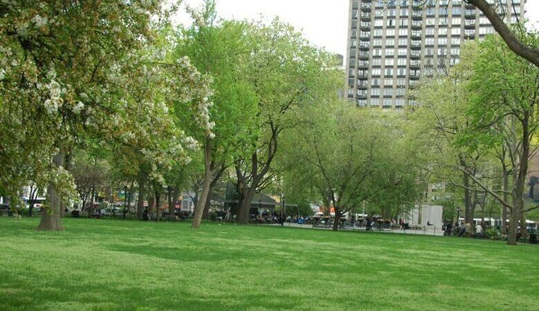 The Beauty Surrounding Madison Square Park 30 The Beauty Surrounding Madison Square Park 4.8 (113)