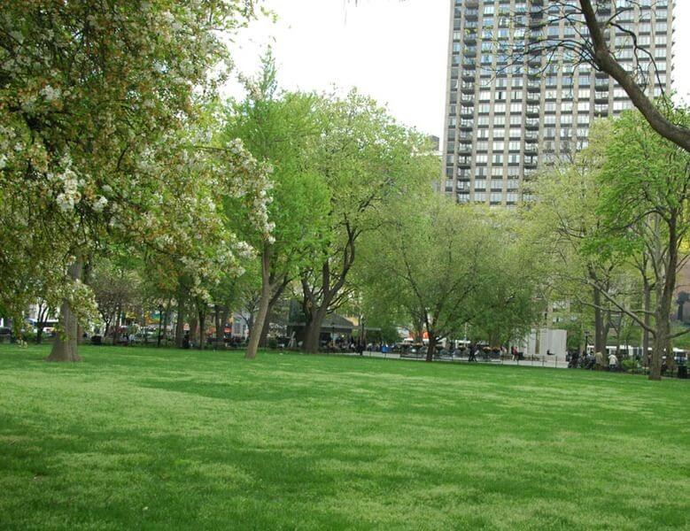 The Beauty Surrounding Madison Square Park
