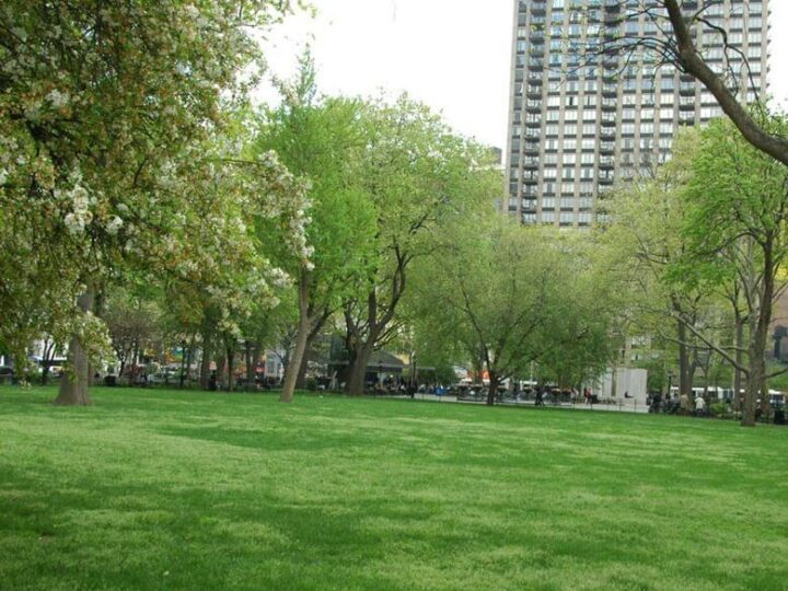 Top 5 Activities to Do With Your Kid on the Lower East Side 53 Top 5 Activities to Do With Your Kid on the Lower East Side