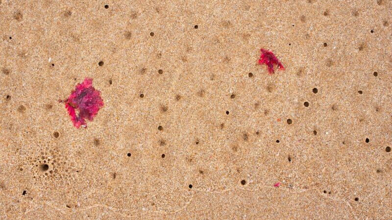 How to Prevent and Cure the Appearance of Age Spots