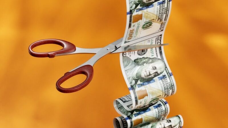 The Dopamine Ledger: How to Gamify Your Personal Finances 11 The Dopamine Ledger: How to Gamify Your Personal Finances 4.8 (41)