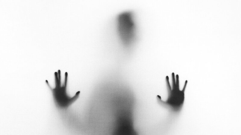 The Psychology of Ghosting: Why People Disappear and How to 2 The Psychology of Ghosting: Why People Disappear and How to 4.6 (88)