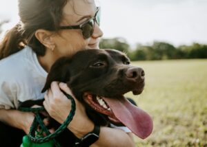 Pet Insurance Explained: Is It Worth It? The Complete Guide