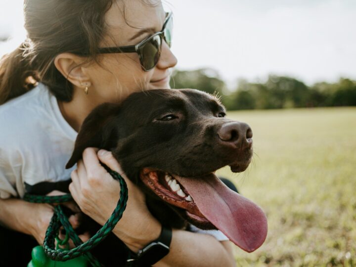 Pet Insurance Explained: Is It Worth It? The Complete Guide